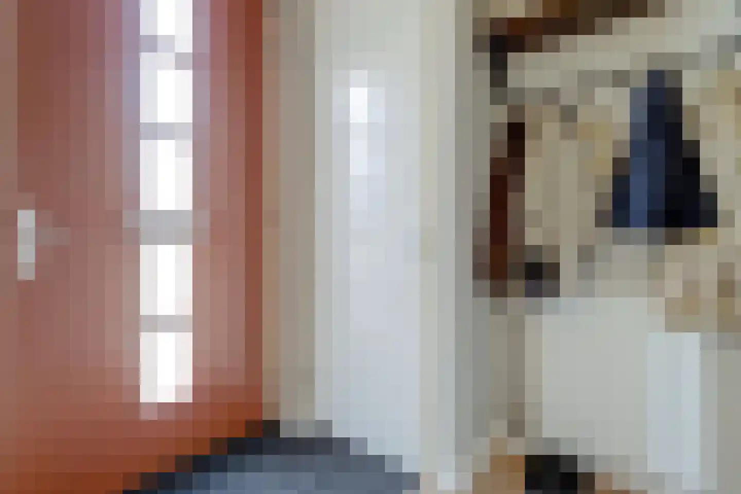 De Heerenhof 32 Hendrik-Ido-Ambacht thumbnail 5