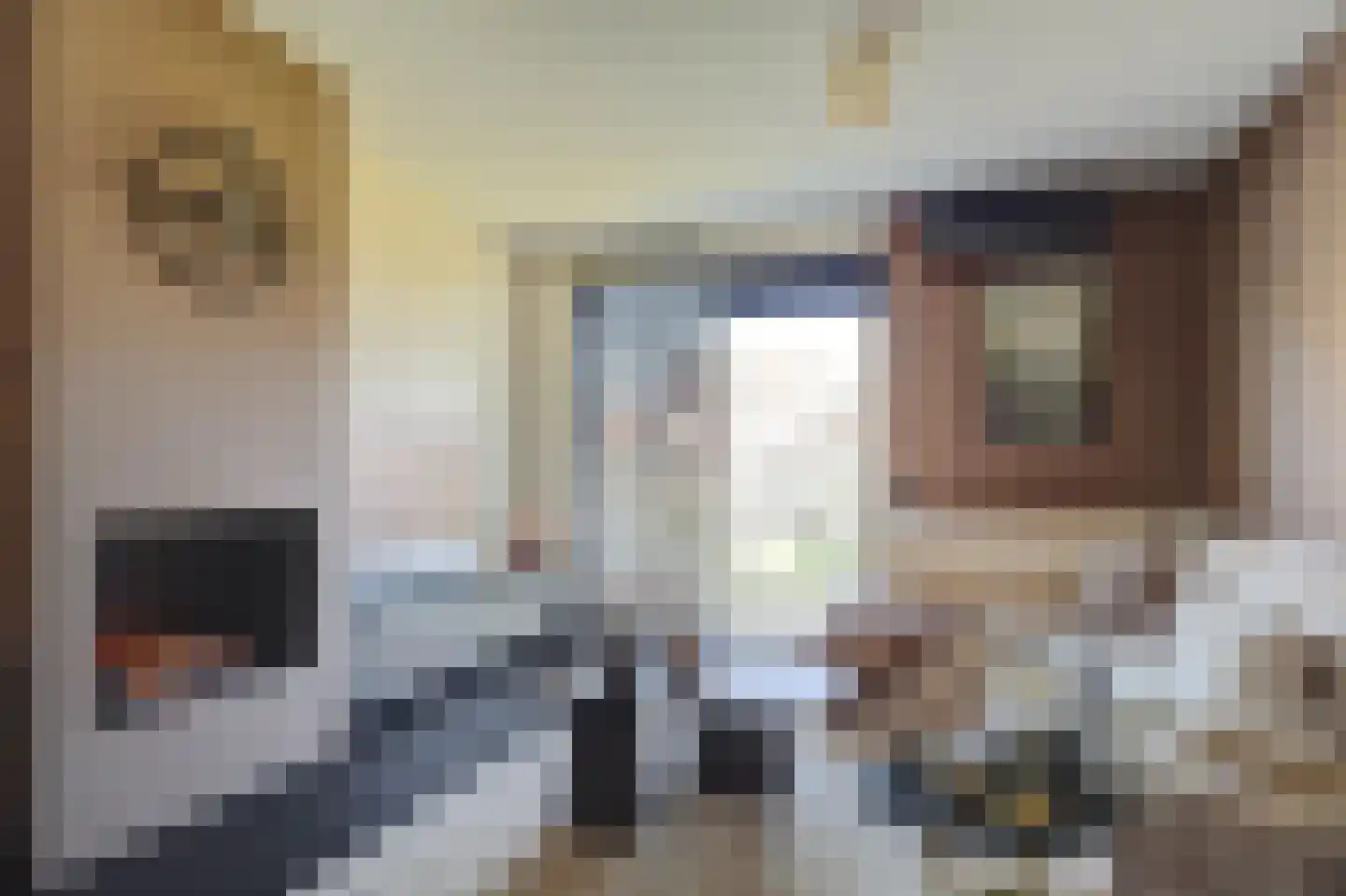 De Heerenhof 34 Hendrik-Ido-Ambacht thumbnail 15