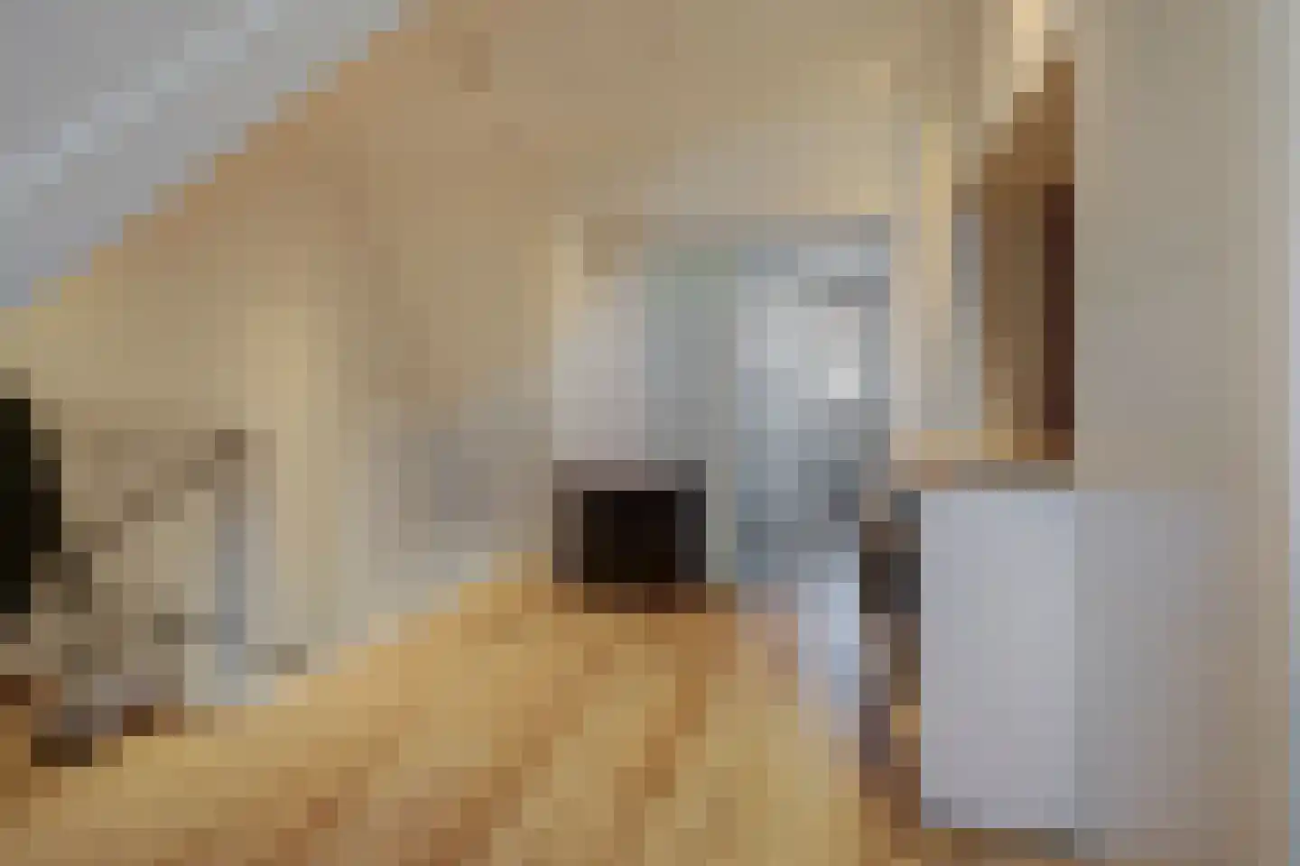 De Heerenhof 34 Hendrik-Ido-Ambacht thumbnail 31