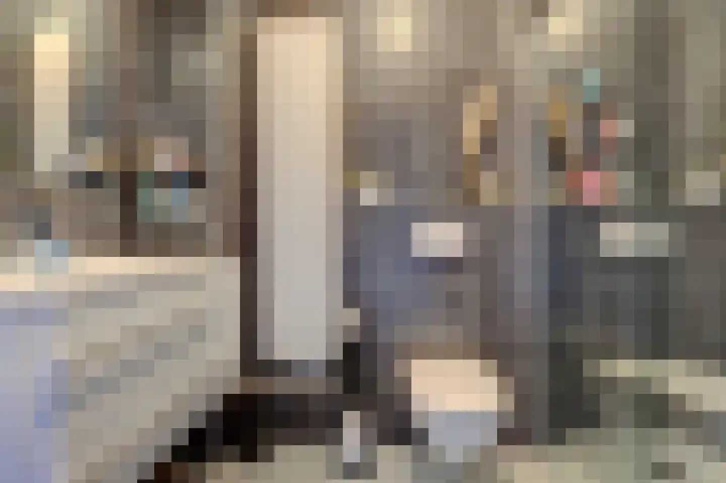 De Heerenhof 34 Hendrik-Ido-Ambacht thumbnail 5