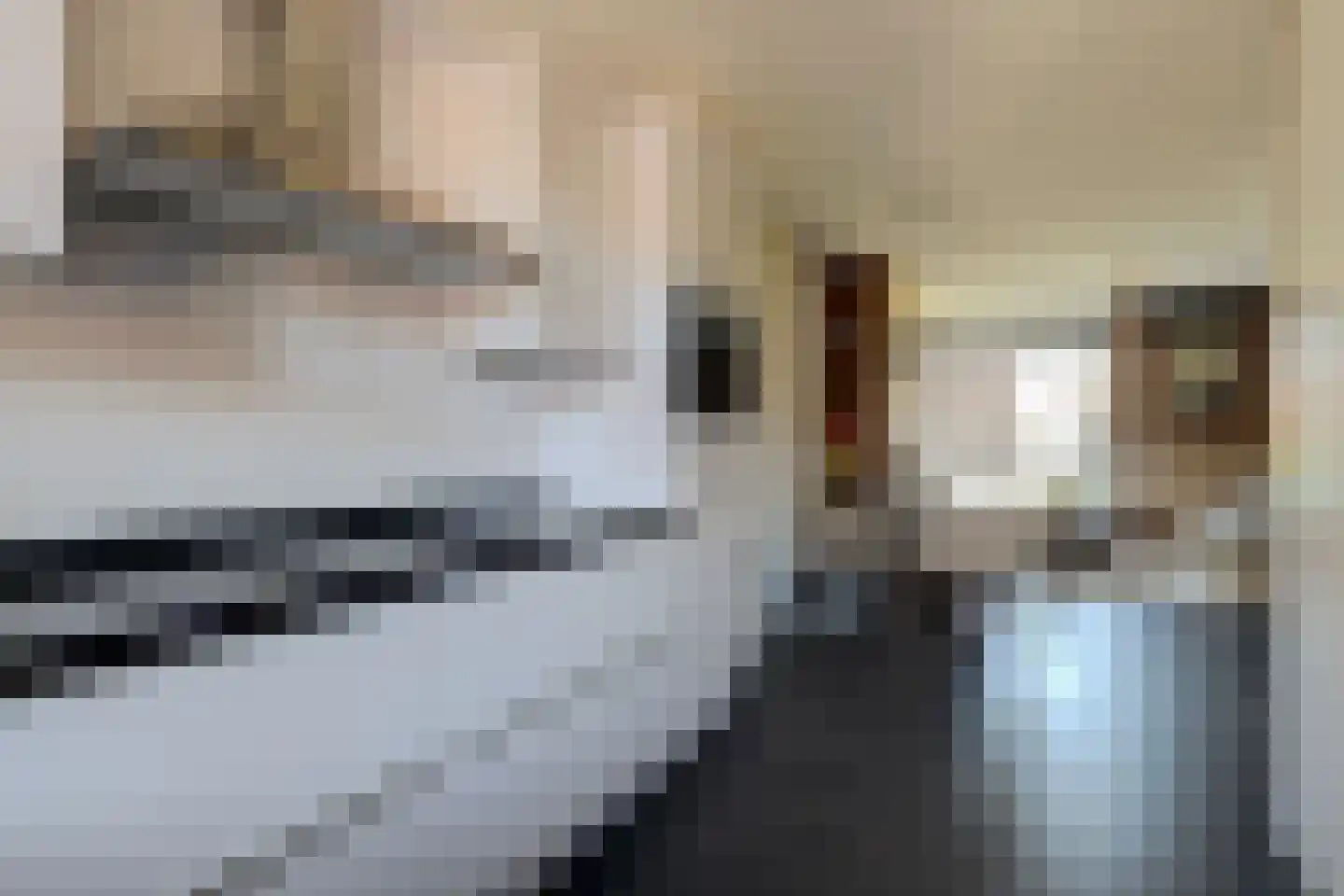 De Heerenhof 34 Hendrik-Ido-Ambacht thumbnail 9