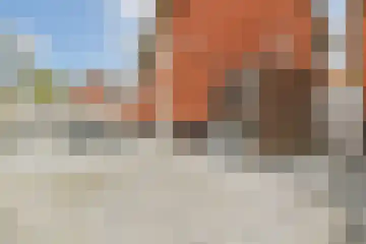 De Heerenhof 8 Hendrik-Ido-Ambacht thumbnail 12