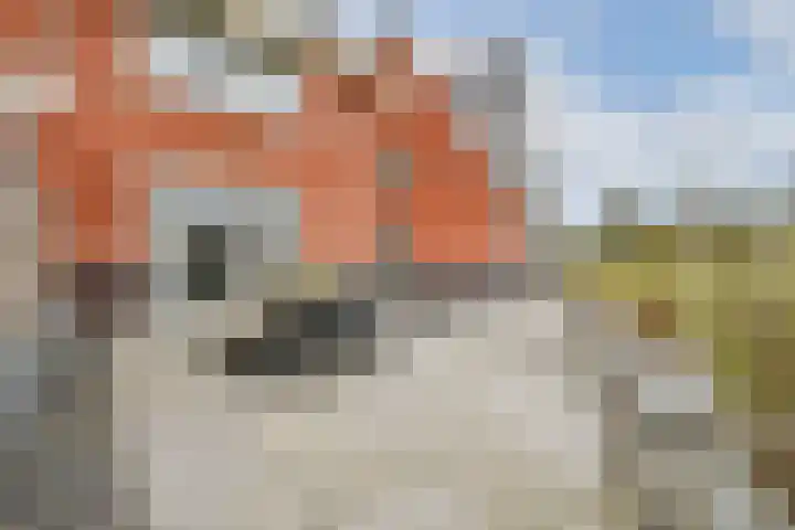 De Heerenhof 8 Hendrik-Ido-Ambacht thumbnail 4