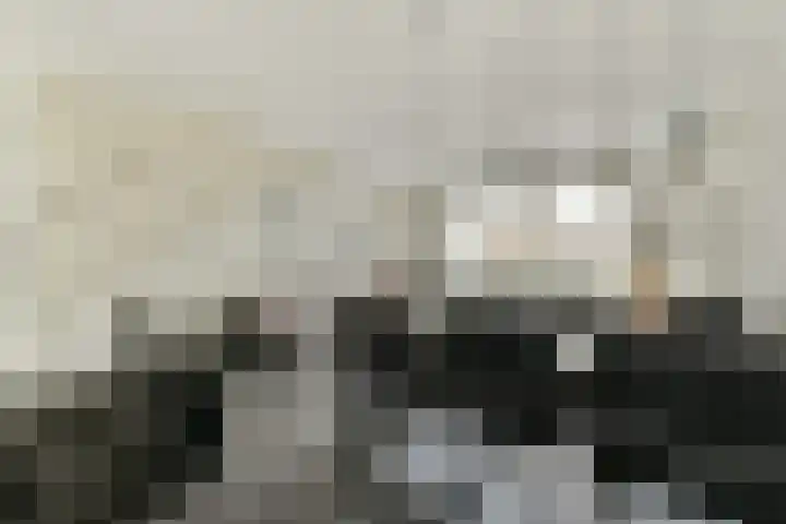 De Heerenhof 8 Hendrik-Ido-Ambacht thumbnail 7