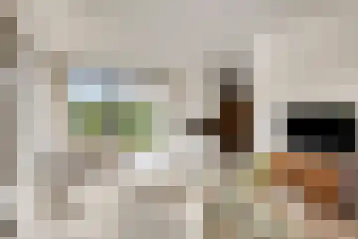 De Heerlickheit 6 Cuijk thumbnail 14