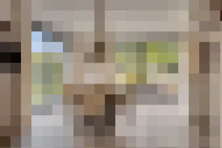 De Heerlickheit 6 Cuijk thumbnail 18