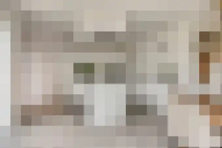 De Heerlickheit 6 Cuijk thumbnail 20