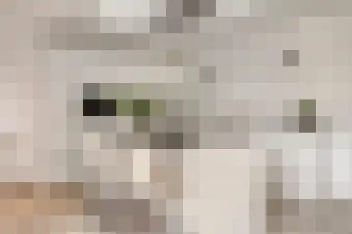 De Heerlickheit 6 Cuijk thumbnail 21