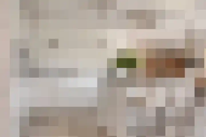 De Heerlickheit 6 Cuijk thumbnail 22