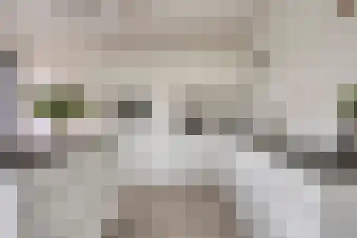 De Heerlickheit 6 Cuijk thumbnail 23