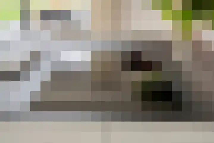 De Heerlickheit 6 Cuijk thumbnail 24