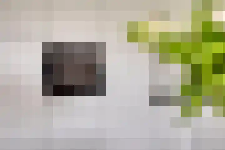 De Heerlickheit 6 Cuijk thumbnail 25