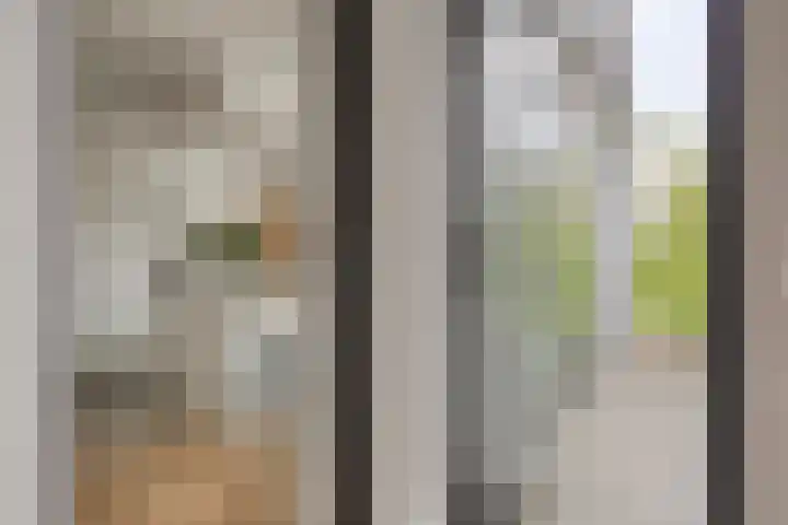 De Heerlickheit 6 Cuijk thumbnail 26