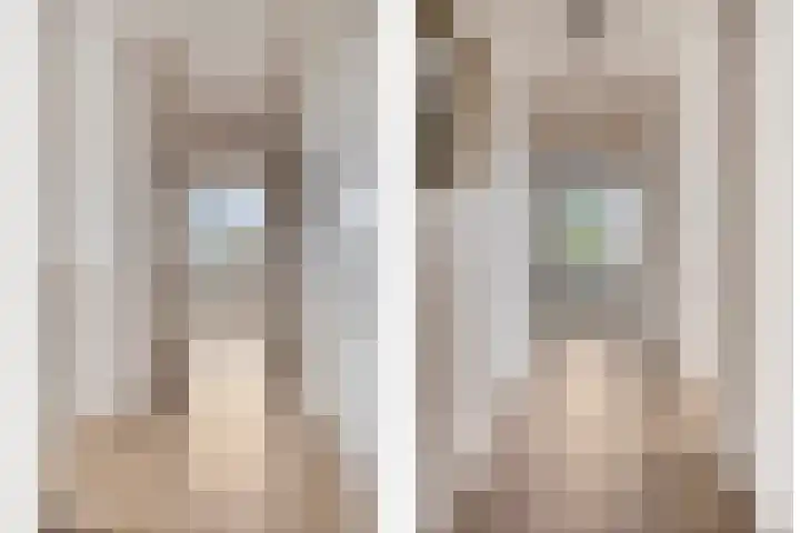 De Heerlickheit 6 Cuijk thumbnail 33