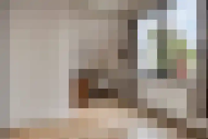 De Heerlickheit 6 Cuijk thumbnail 36