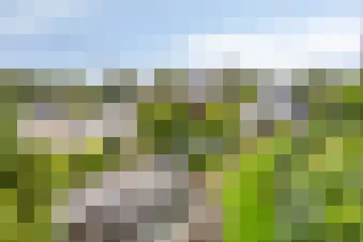 De Heerlickheit 6 Cuijk thumbnail 42