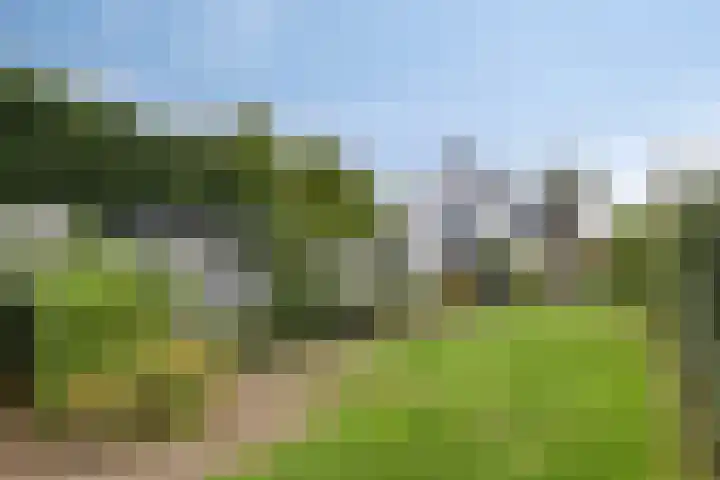 De Heerlickheit 6 Cuijk thumbnail 43