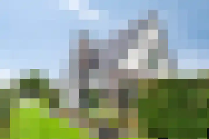 De Heerlickheit 6 Cuijk thumbnail 45