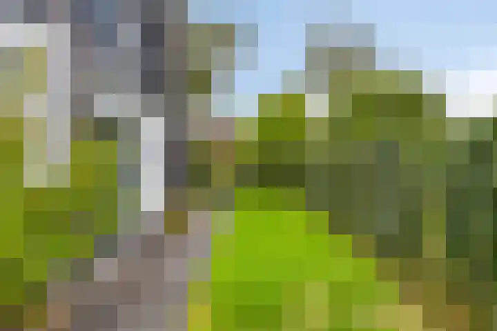 De Heerlickheit 6 Cuijk thumbnail 46