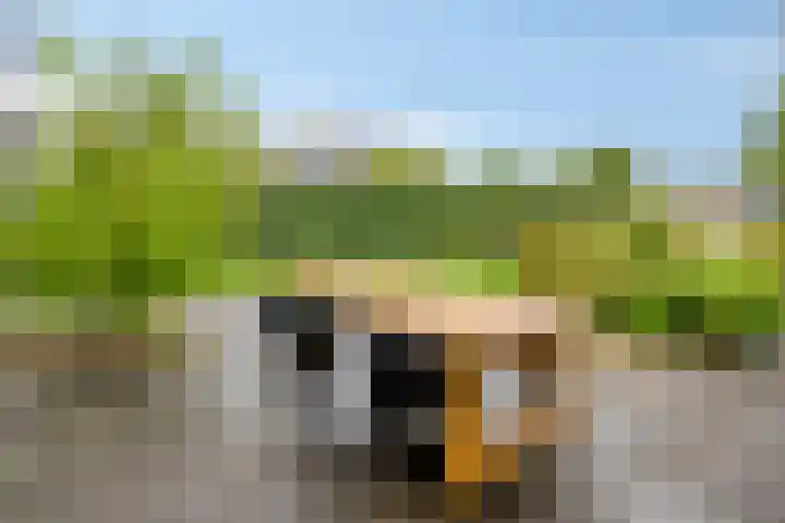 De Heerlickheit 6 Cuijk thumbnail 47