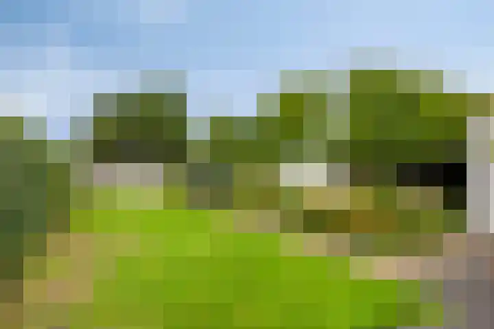 De Heerlickheit 6 Cuijk thumbnail 48