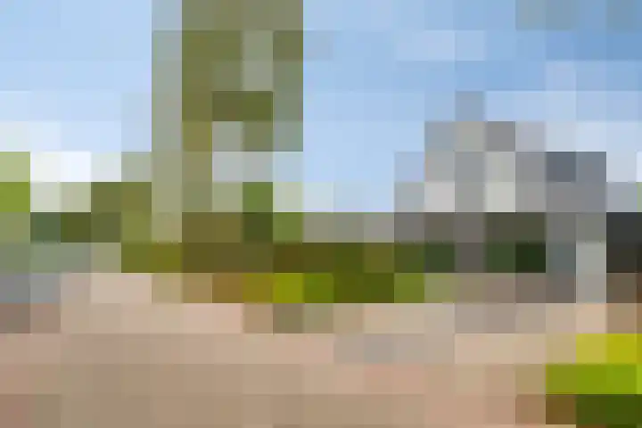 De Heerlickheit 6 Cuijk thumbnail 8