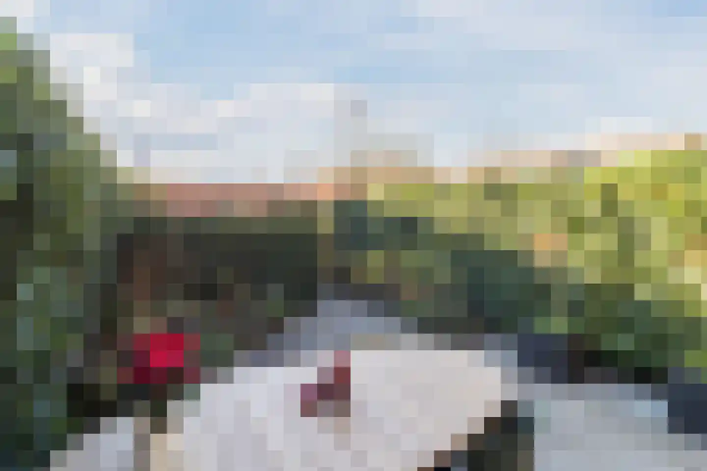 De Heerlijkheid 11 Hendrik-Ido-Ambacht thumbnail 12