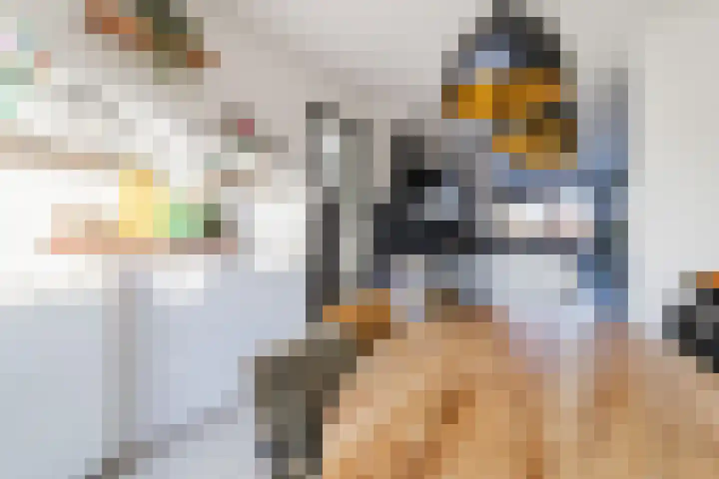 De Heerlijkheid 11 Hendrik-Ido-Ambacht thumbnail 17