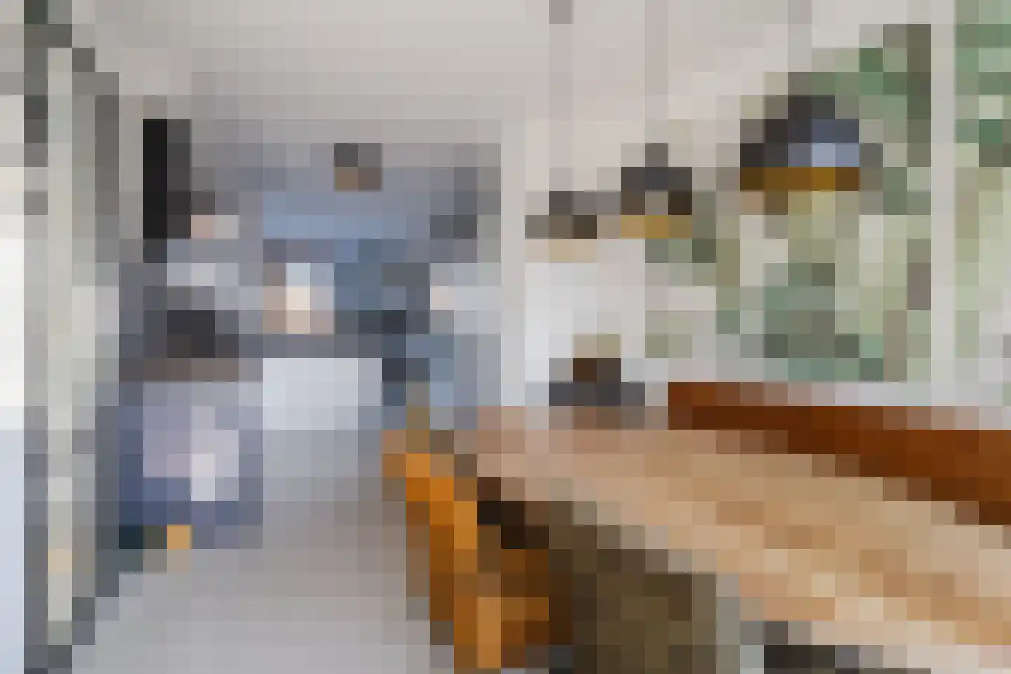 De Heerlijkheid 11 Hendrik-Ido-Ambacht thumbnail 18