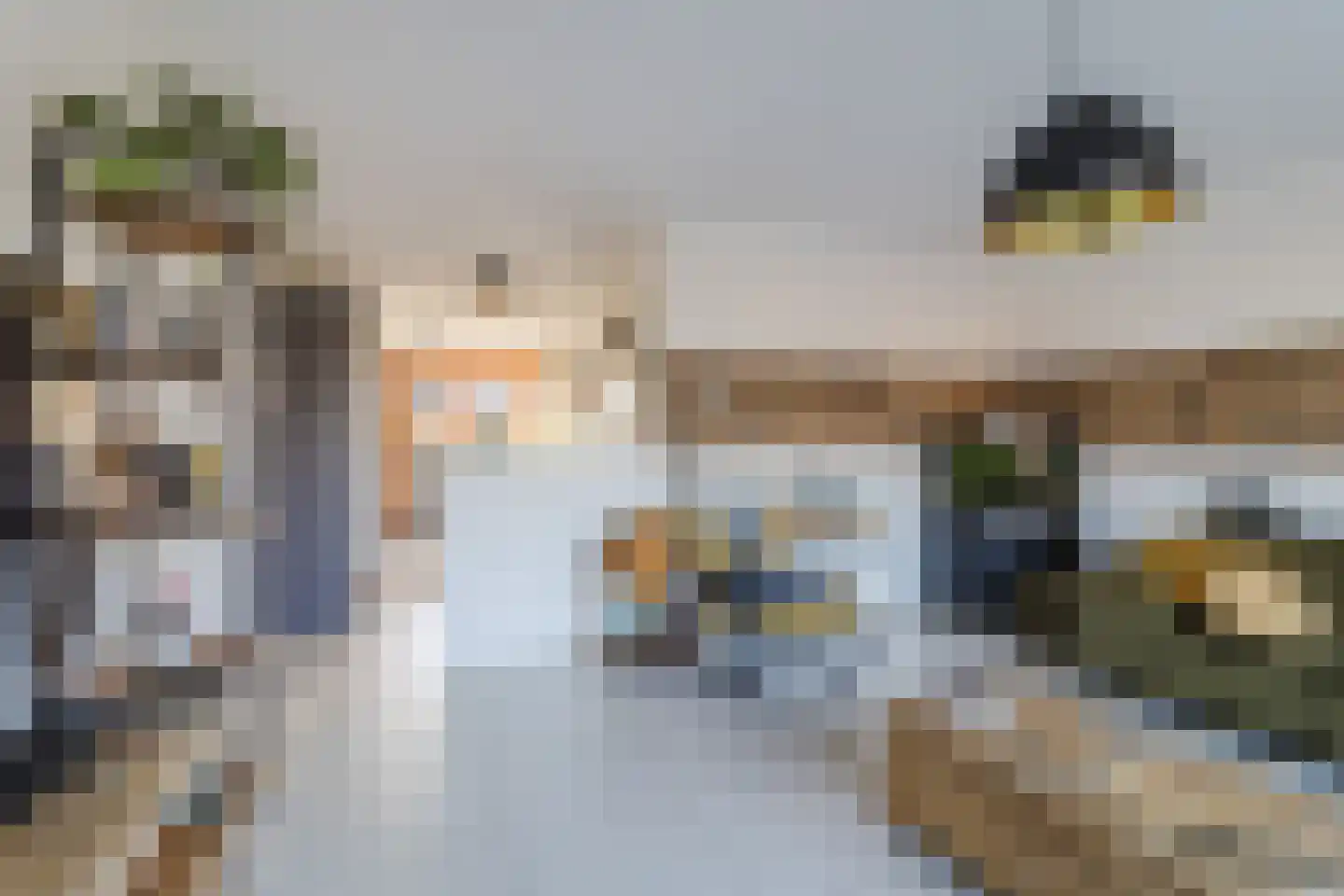De Heerlijkheid 11 Hendrik-Ido-Ambacht thumbnail 25