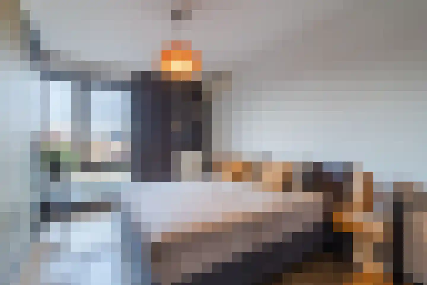 De Heerlijkheid 11 Hendrik-Ido-Ambacht thumbnail 26