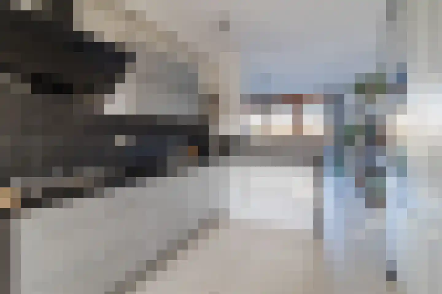 De Heerlijkheid 11 Hendrik-Ido-Ambacht thumbnail 4