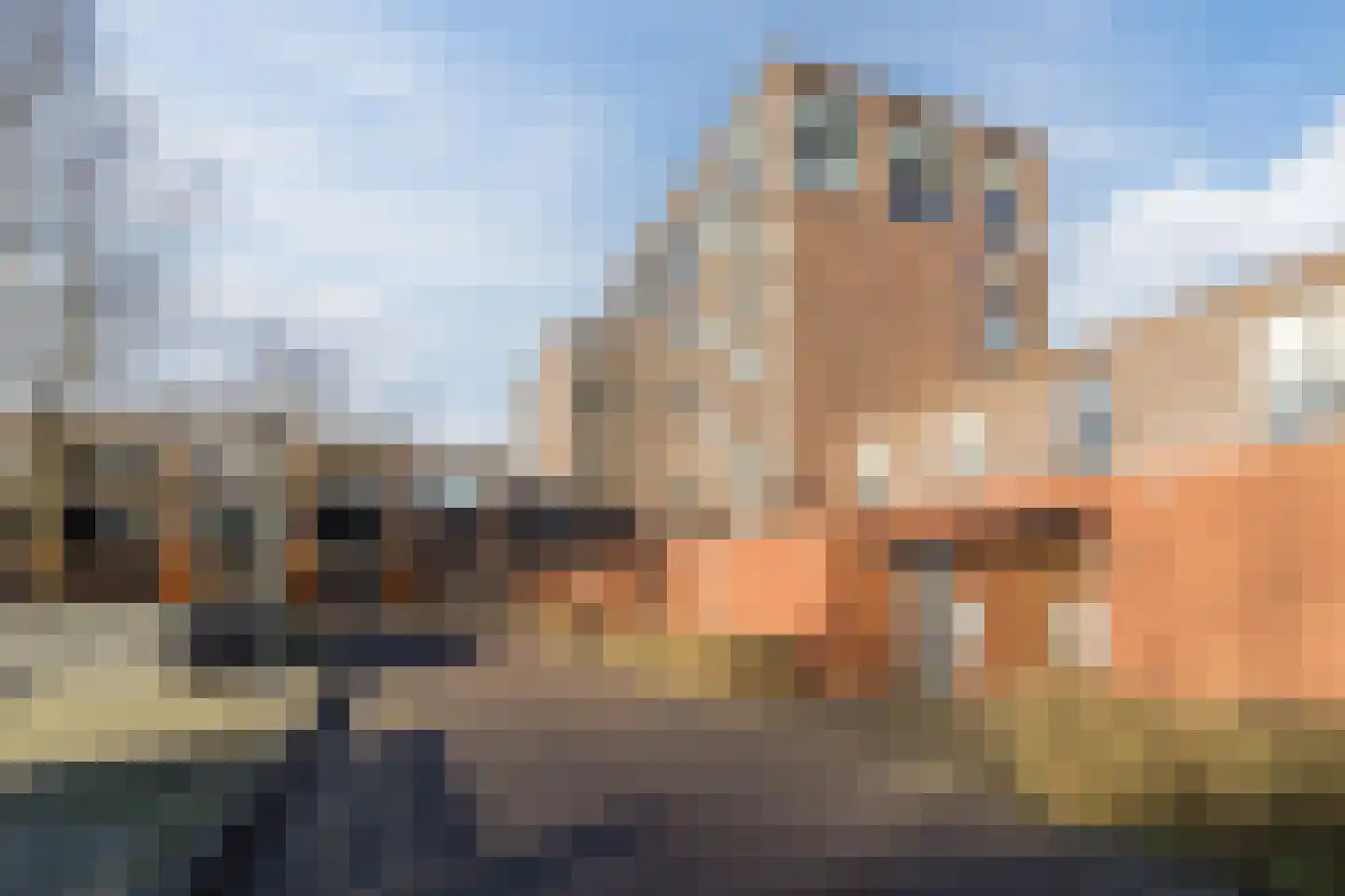 De Heerlijkheid 11 Hendrik-Ido-Ambacht thumbnail 8