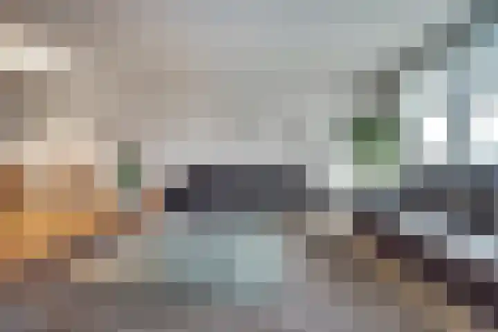 De Heerlijkheid 119 Hendrik-Ido-Ambacht thumbnail 14