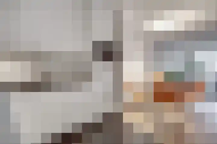 De Heerlijkheid 119 Hendrik-Ido-Ambacht thumbnail 22