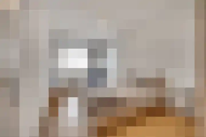 De Heerlijkheid 119 Hendrik-Ido-Ambacht thumbnail 28