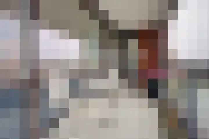 De Heerlijkheid 119 Hendrik-Ido-Ambacht thumbnail 40