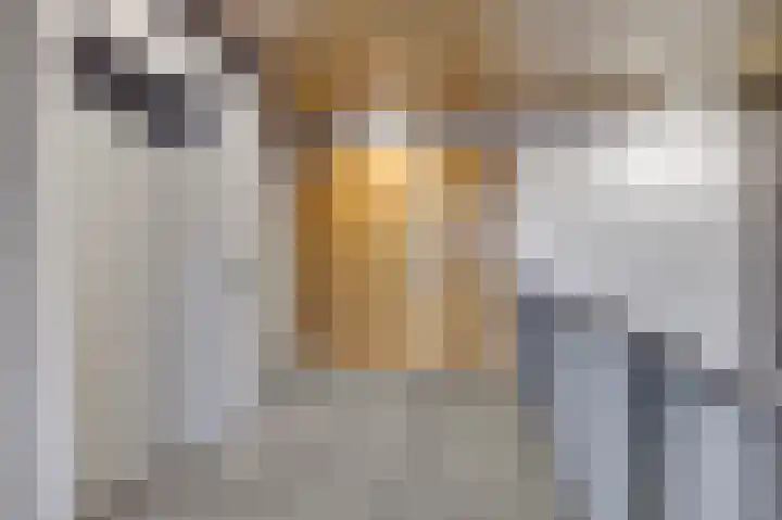 De Heerlijkheid 119 Hendrik-Ido-Ambacht thumbnail 9