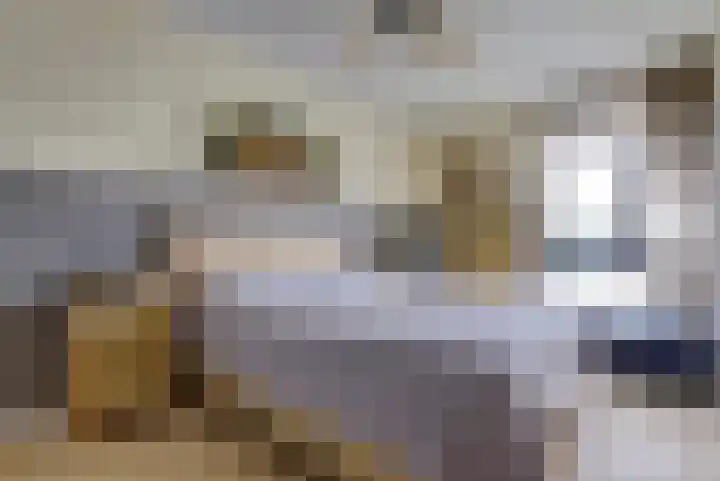 De Heerlijkheid 151 Hendrik-Ido-Ambacht thumbnail 13