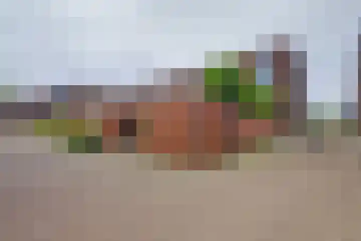 De Heerlijkheid 151 Hendrik-Ido-Ambacht foto 3