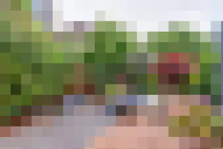 De Heerlijkheid 151 Hendrik-Ido-Ambacht thumbnail 34