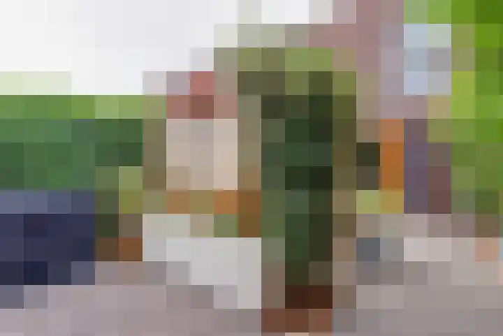 De Heerlijkheid 151 Hendrik-Ido-Ambacht thumbnail 36