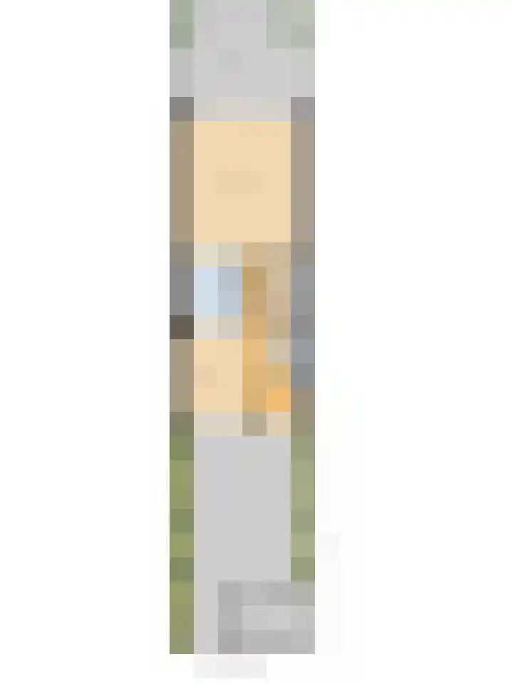 De Heerlijkheid 151 Hendrik-Ido-Ambacht thumbnail 44
