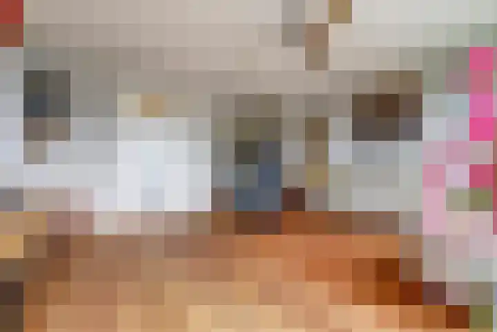 De Heerlijkheid 151 Hendrik-Ido-Ambacht thumbnail 5