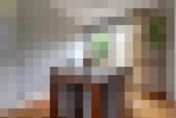 De Heerlijkheid 151 Hendrik-Ido-Ambacht thumbnail 8