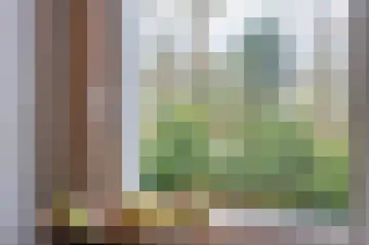 De Heerlijkheid 18 Tuk thumbnail 20