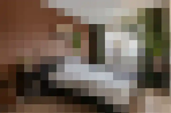 De Heerlijkheid 18 Tuk thumbnail 27