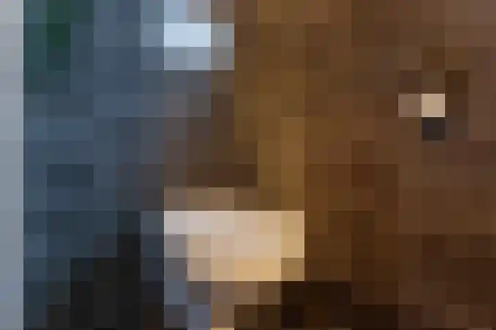 De Heerlijkheid 18 Tuk thumbnail 32
