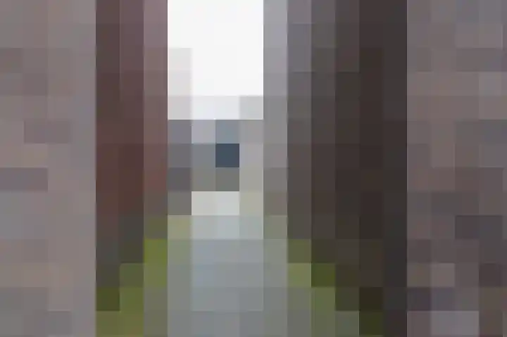 De Heerlijkheid 18 Tuk thumbnail 44