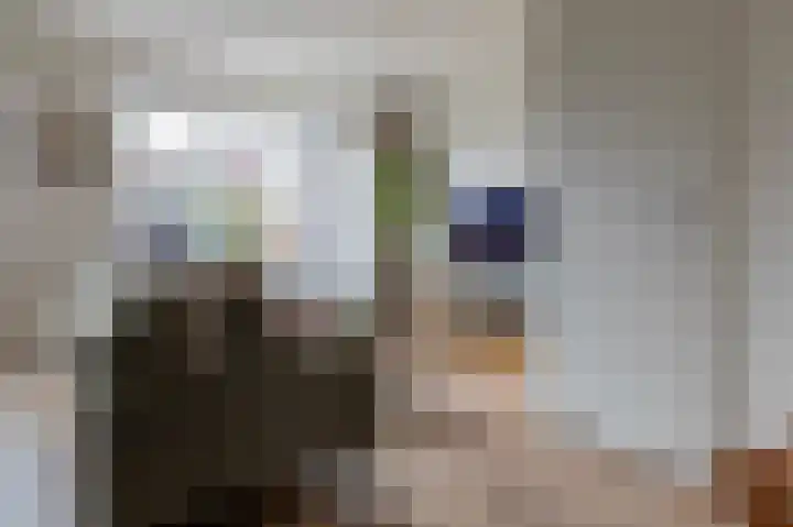 De Heerlijkheid 18 Tuk thumbnail 7